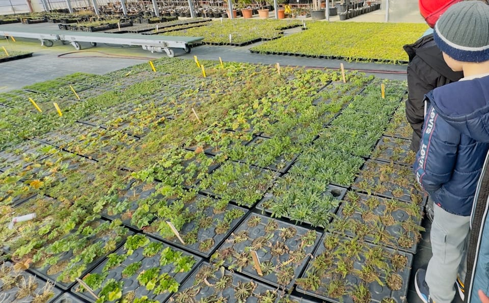 Biodiversité
