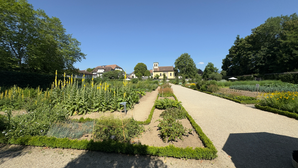 La vie de château